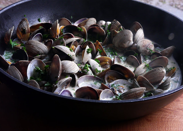 Clams, Clams, Clams……………